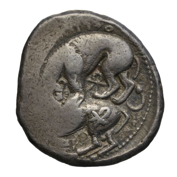 Aynel, King of Byblus Byblus Elayi 2014 IV.4.1, реверс, bnf-iris