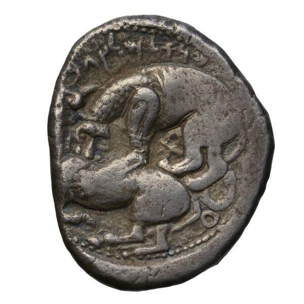 Aynel, King of Byblus Byblus Elayi 2014 IV.4.1, реверс, bnf-iris