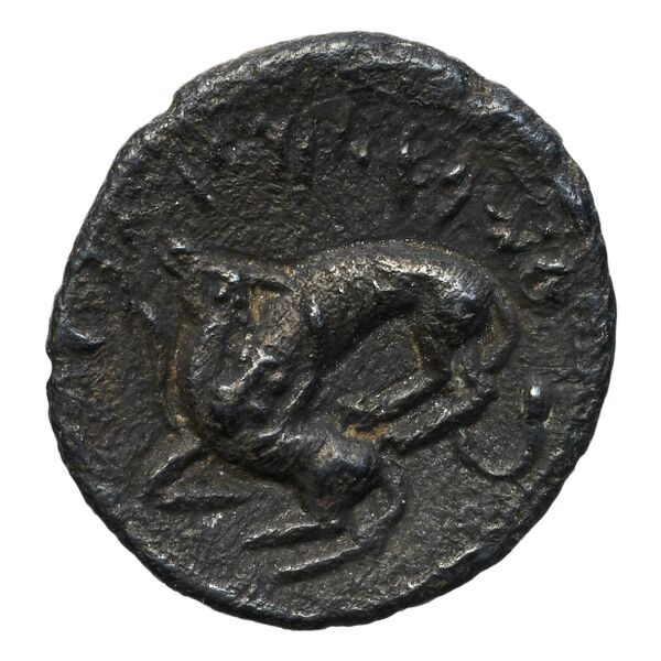 Aynel, King of Byblus Byblus Elayi 2014 IV.4.2, реверс, bnf-iris