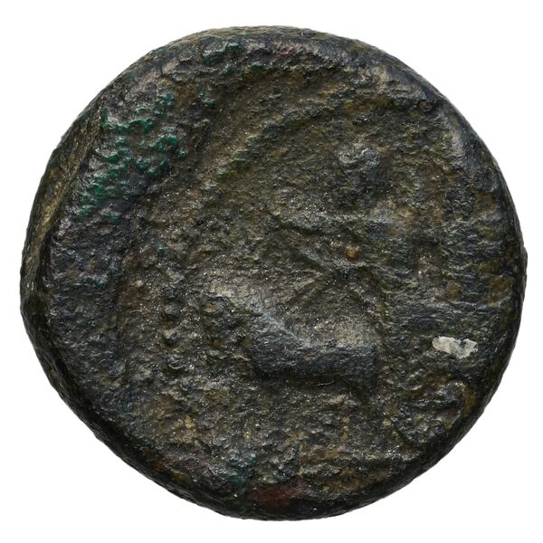 Sidon Elayi 2004 IV.7.6, аверс, bnf-iris