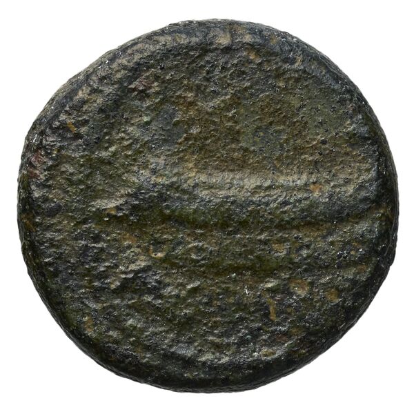 Sidon Elayi 2004 IV.7.6, реверс, bnf-iris