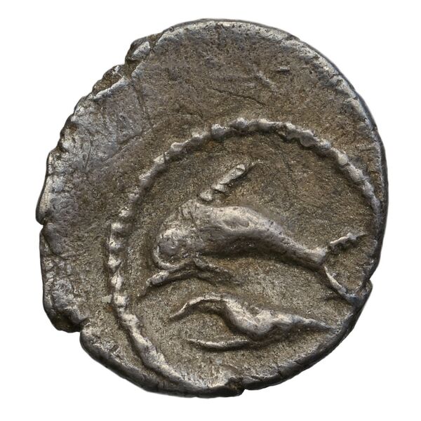 Tyre Elayi 2009 III.1.2.a-b, аверс, bnf-iris