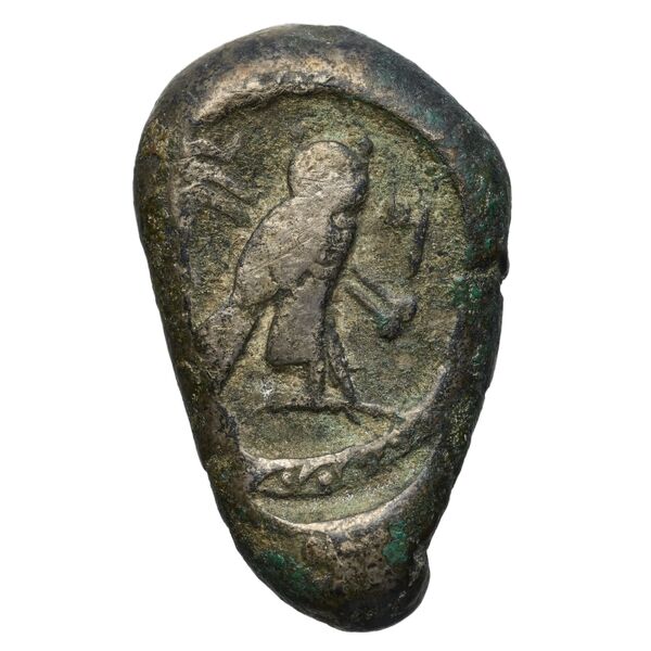 Tyre Elayi 2009 II.1.2.1, реверс, bnf-iris