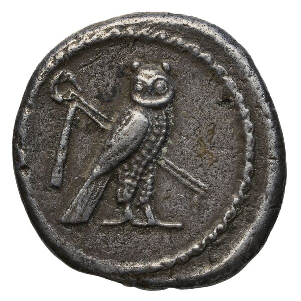 Tyre Elayi 2009 II.1.1.1, реверс, bnf-iris