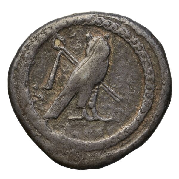 Tyre Elayi 2009 II.1.1.1, реверс, bnf-iris