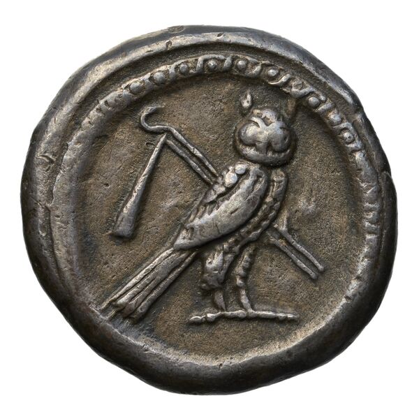 Tyre Elayi 2009 II.1.1.1, реверс, bnf-iris