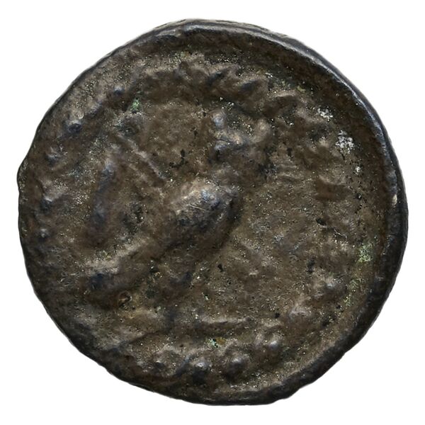 coin rev