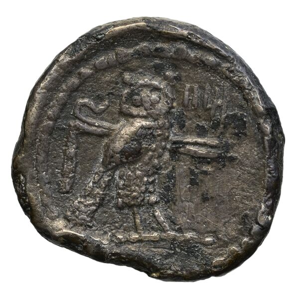 coin rev