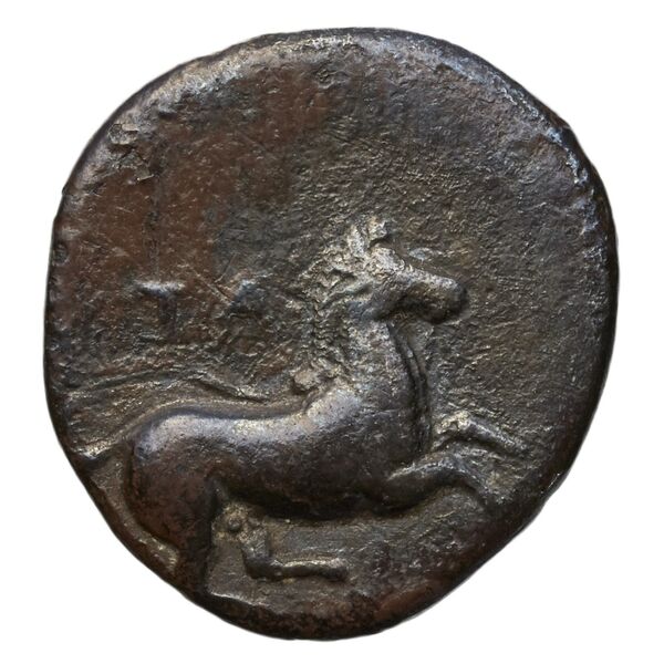 reverse Taras Historia Numorum Italy 907