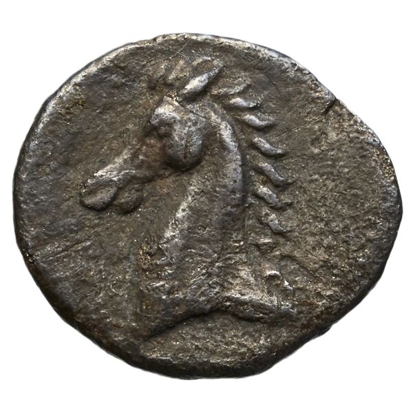 Taras Historia Numorum Italy 981, реверс, bnf-iris
