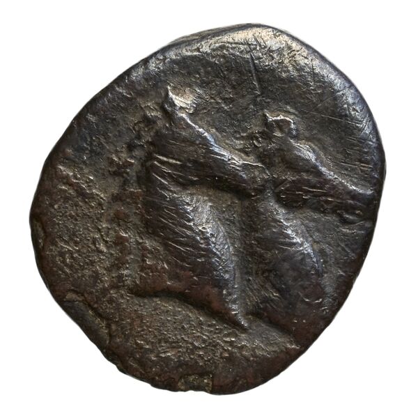 Taras Historia Numorum Italy 1072, аверс, bnf-iris