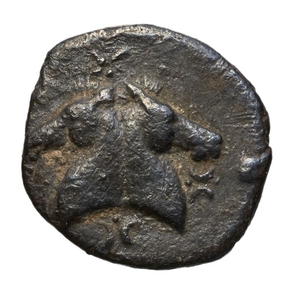 Taras Historia Numorum Italy 1072, реверс, bnf-iris