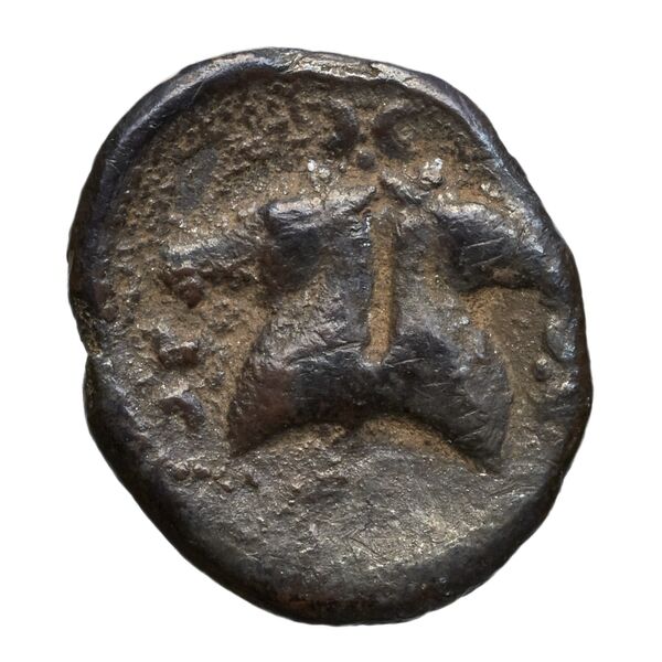Taras Historia Numorum Italy 1072, аверс, bnf-iris