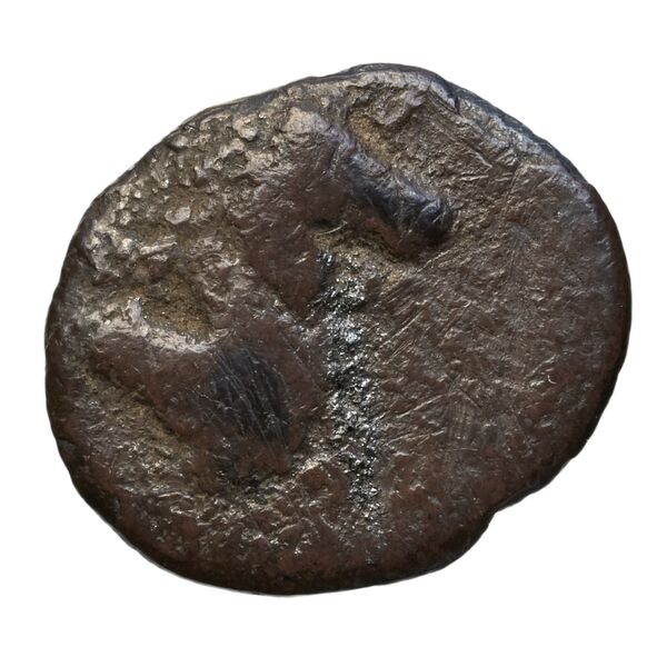 Taras Historia Numorum Italy 1072, реверс, bnf-iris