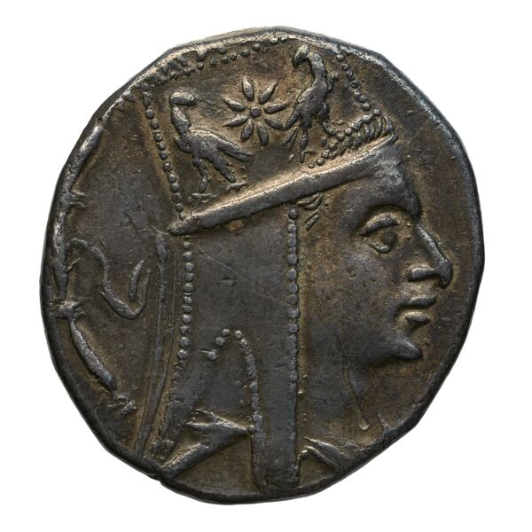 Tigranes II of Armenia Tigranocerta Kovacs 2016 71-76, аверс, bnf-iris