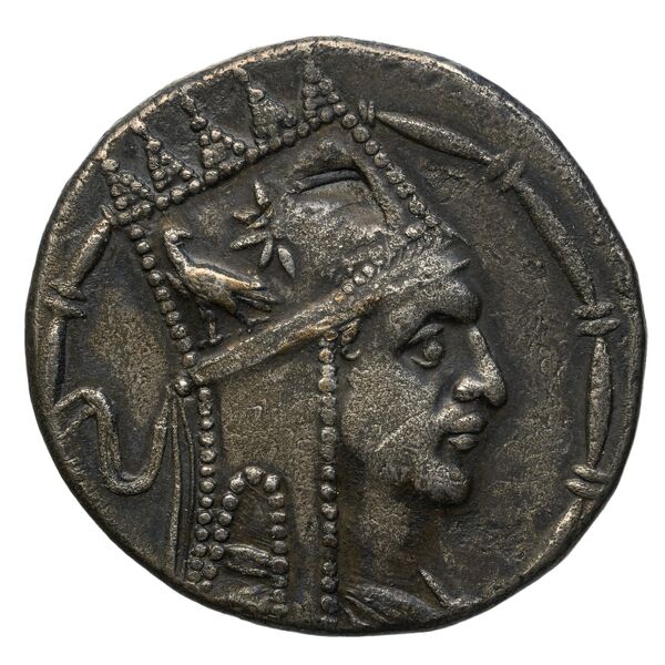 Tigranes II of Armenia Tigranocerta Kovacs 2016 71-76, аверс, bnf-iris