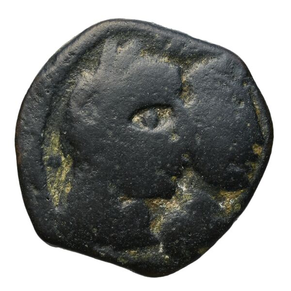 Aretas IV of Nabataea Petra Barkay 2019 186, 188, аверс, bnf-iris