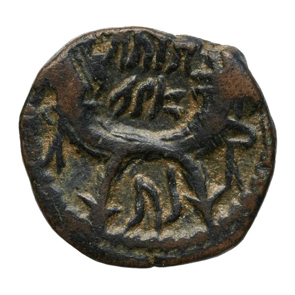 Aretas IV of Nabataea Petra Barkay 2019 186, 188, реверс, bnf-iris