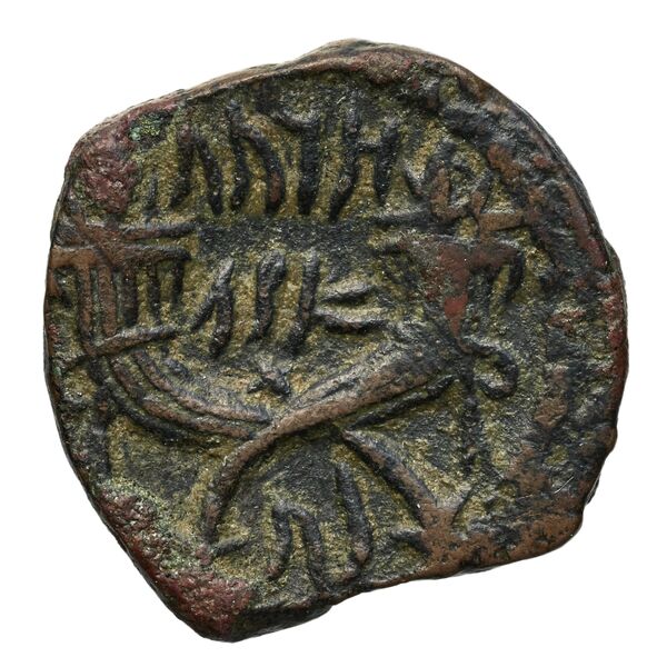 Aretas IV of Nabataea Petra Barkay 2019 186, 188, реверс, bnf-iris