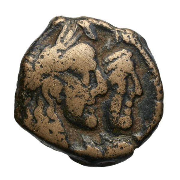 Rabel II Soter of Nabataea Petra Barkay 2019 224, 235-6, аверс, bnf-iris