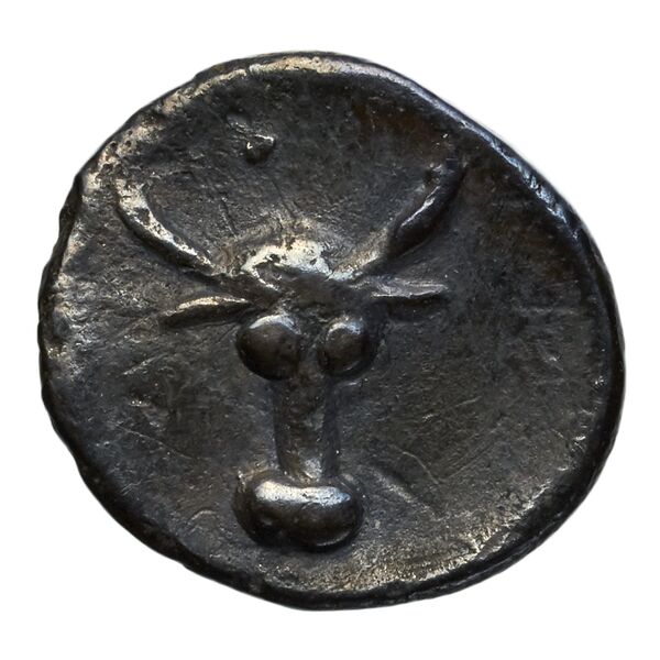 obverse Taras Historia Numorum Italy 918