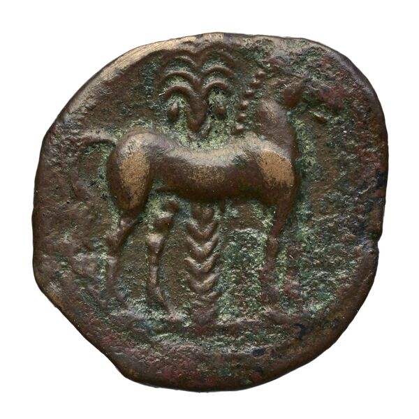 Carthaginian Empire Carthage Alexandropoulos 2007 25, реверс, bnf-iris