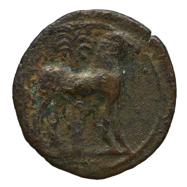 Carthaginian Empire Carthage Alexandropoulos 2007 25, реверс, bnf-iris