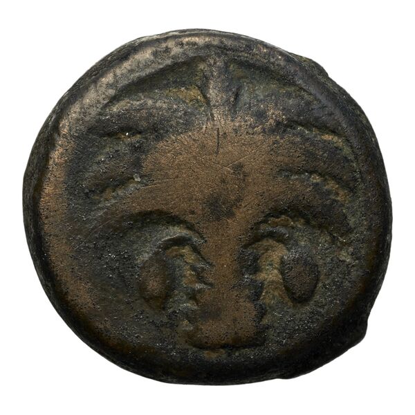 Carthaginian Empire Carthage Alexandropoulos 2007 20, реверс, bnf-iris