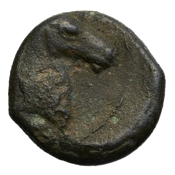 Carthaginian Empire Carthage Alexandropoulos 2007 20, аверс, bnf-iris