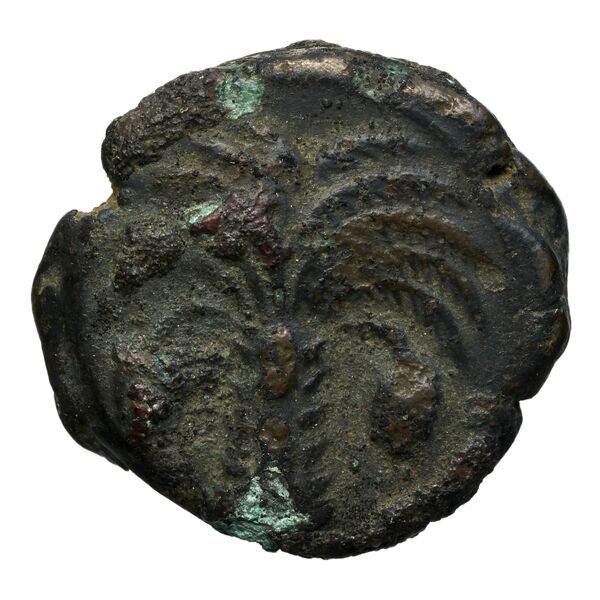 Carthaginian Empire Carthage Alexandropoulos 2007 20, реверс, bnf-iris
