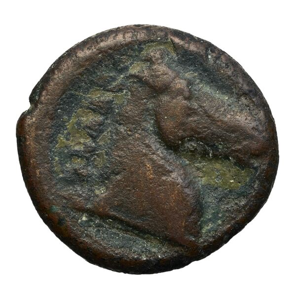 Carthaginian Empire Carthage Alexandropoulos 2007 20, аверс, bnf-iris