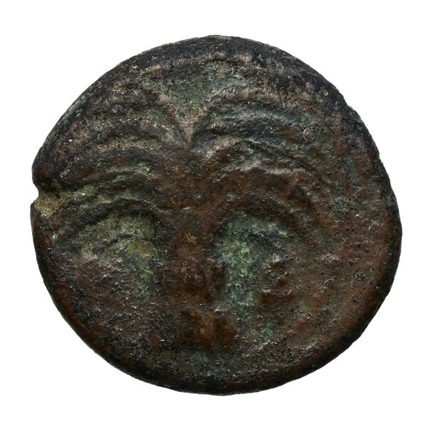Carthaginian Empire Carthage Alexandropoulos 2007 20, реверс, bnf-iris