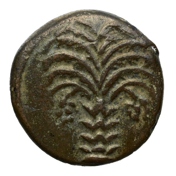 Carthaginian Empire Carthage Alexandropoulos 2007 20, реверс, bnf-iris
