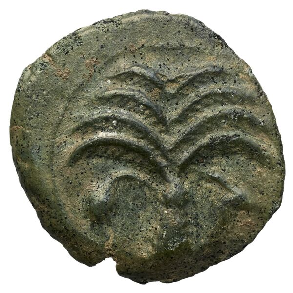 Carthaginian Empire Carthage Alexandropoulos 2007 23, реверс, bnf-iris