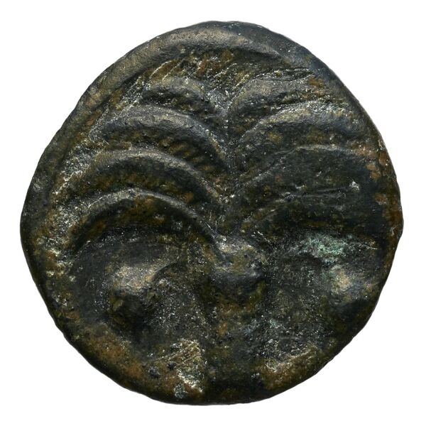 Carthaginian Empire Carthage Alexandropoulos 2007 23, реверс, bnf-iris
