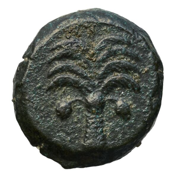 Carthaginian Empire Carthage Alexandropoulos 2007 23, реверс, bnf-iris
