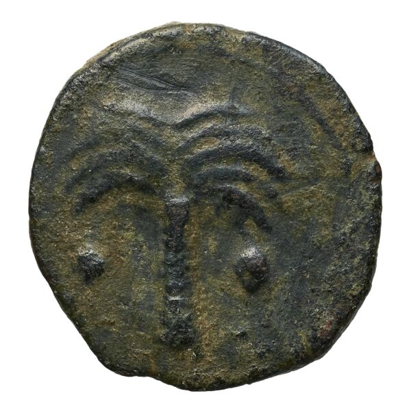 Carthaginian Empire Carthage Alexandropoulos 2007 23, реверс, bnf-iris
