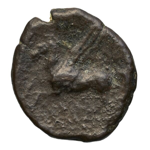Carthaginian Empire Carthage Alexandropoulos 2007 23, аверс, bnf-iris