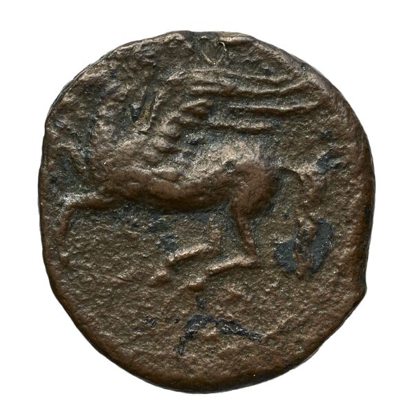 Carthaginian Empire Carthage Alexandropoulos 2007 23, аверс, bnf-iris