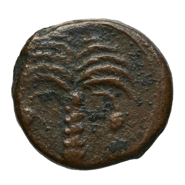 Carthaginian Empire Carthage Alexandropoulos 2007 23, реверс, bnf-iris