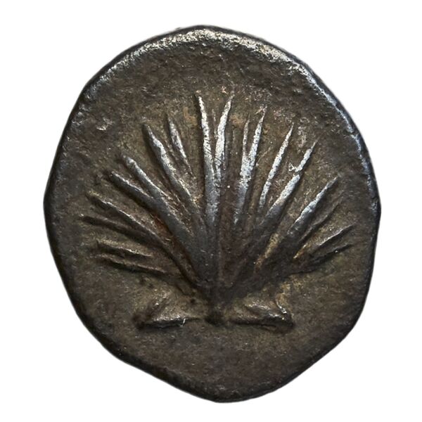 Taras Historia Numorum Italy 980, аверс, bnf-iris