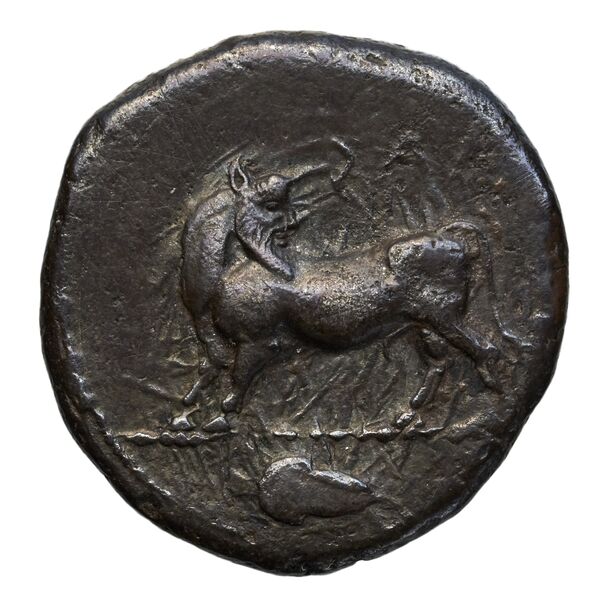 Laüs Historia Numorum Italy 2277, аверс, bnf-iris