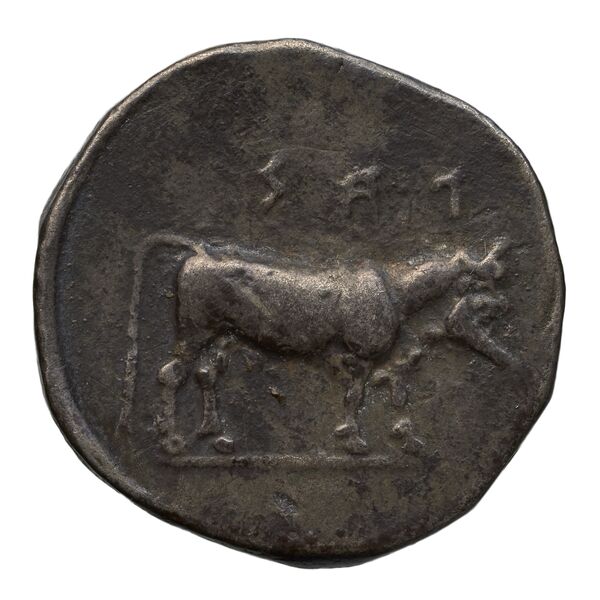 reverse Laüs Historia Numorum Italy 2275