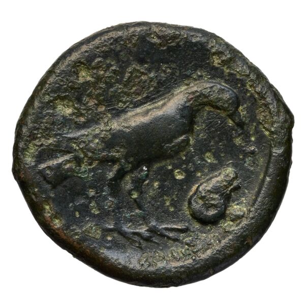 Laüs Historia Numorum Italy 2289-96, реверс, bnf-iris
