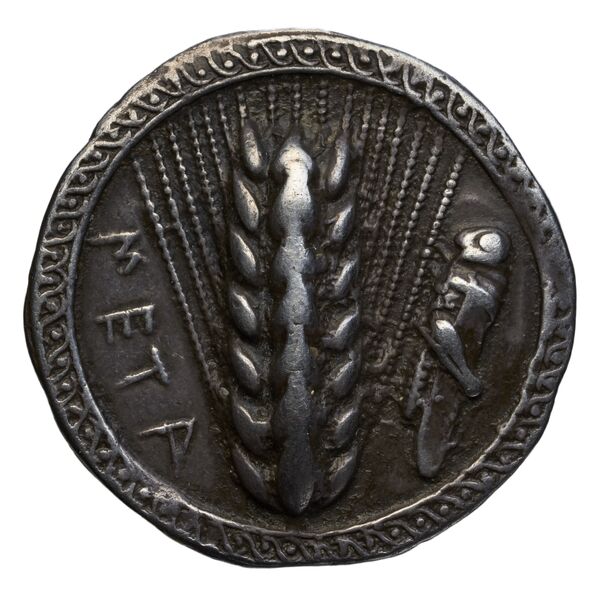 Metapontum Historia Numorum Italy 1459, аверс, bnf-iris