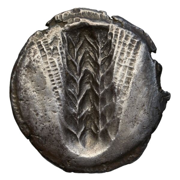 Metapontum Historia Numorum Italy 1482-3, реверс, bnf-iris