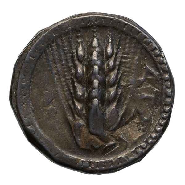 Metapontum Historia Numorum Italy 1484-6, аверс, bnf-iris