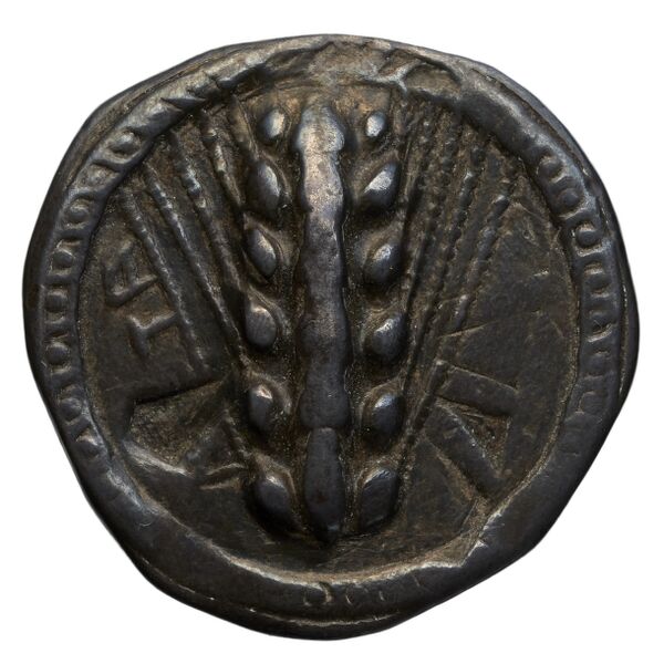 Metapontum Historia Numorum Italy 1482-3, аверс, bnf-iris