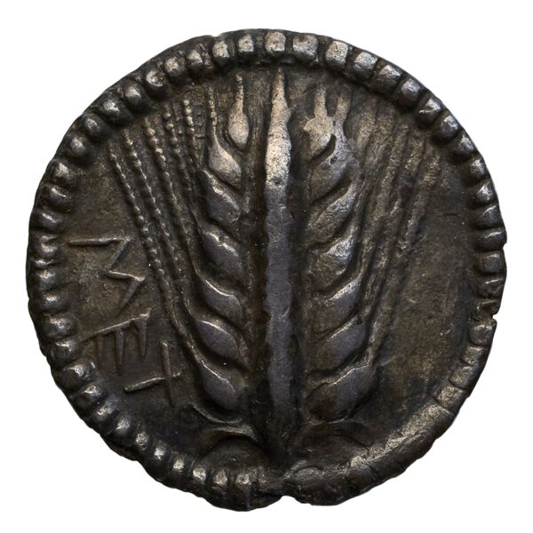 Metapontum Historia Numorum Italy 1459, аверс, bnf-iris