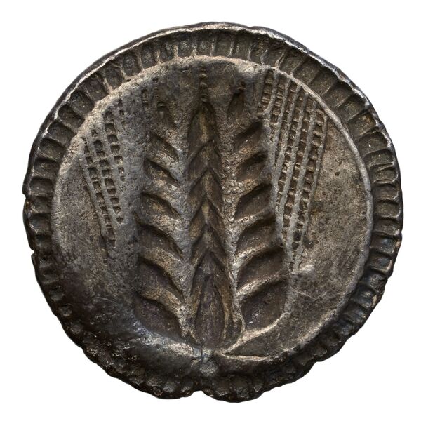 Metapontum Historia Numorum Italy 1459, реверс, bnf-iris